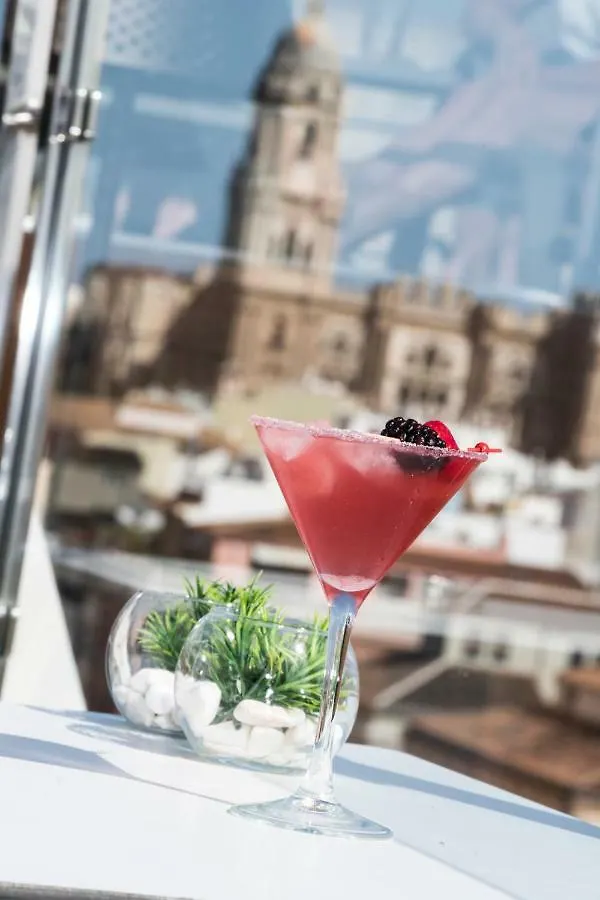 Salles Hotel Malaga Centro Spain